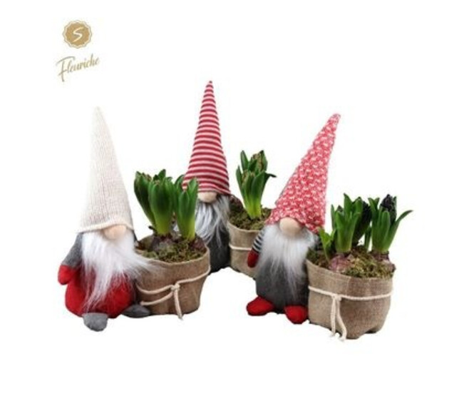 JACINTHE 2PP VANNERIE