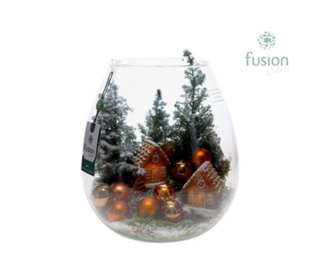COMPO PLANTES VARIEES NOEL