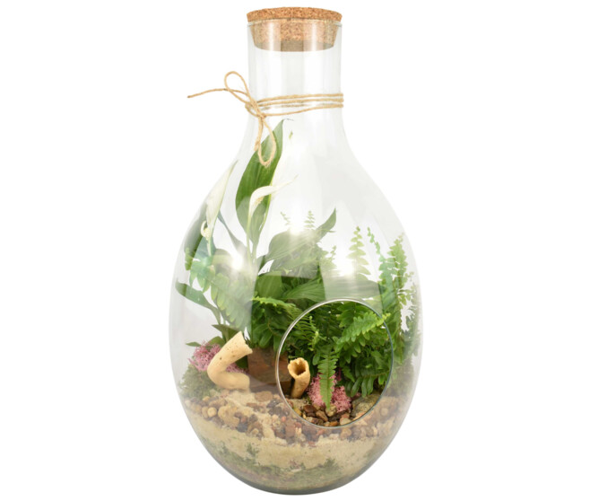 VERRERIE BROCELIANDE 20