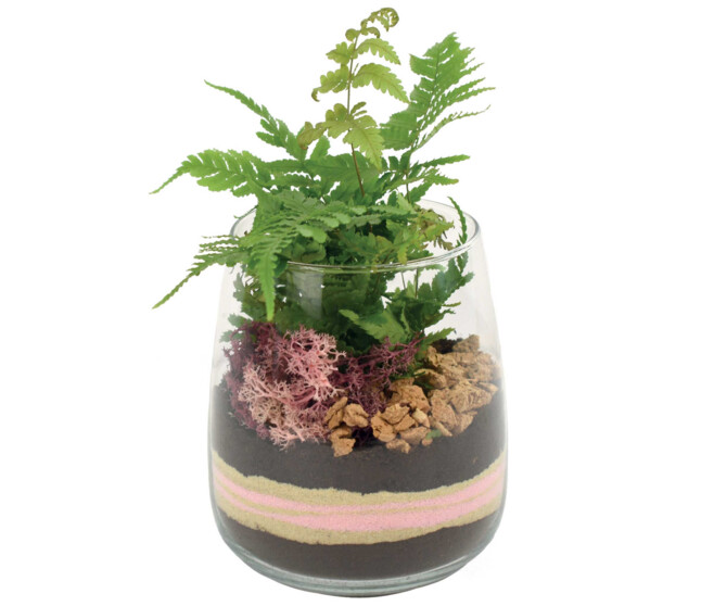 VERRERIE GRENAT 20
