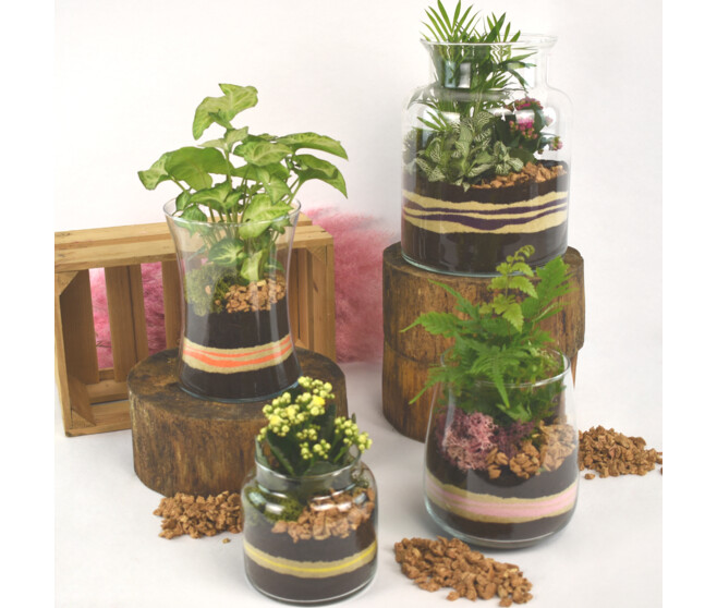 VERRERIE GRENAT 20