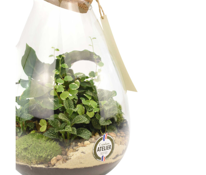 TERRARIUM LUTH 20