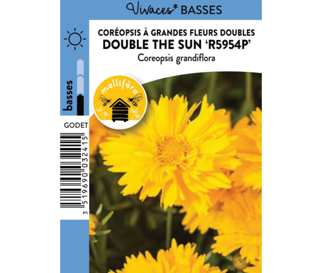 COREOPSIS GRANDIFLORA DOUBLE THE SUN BQ10