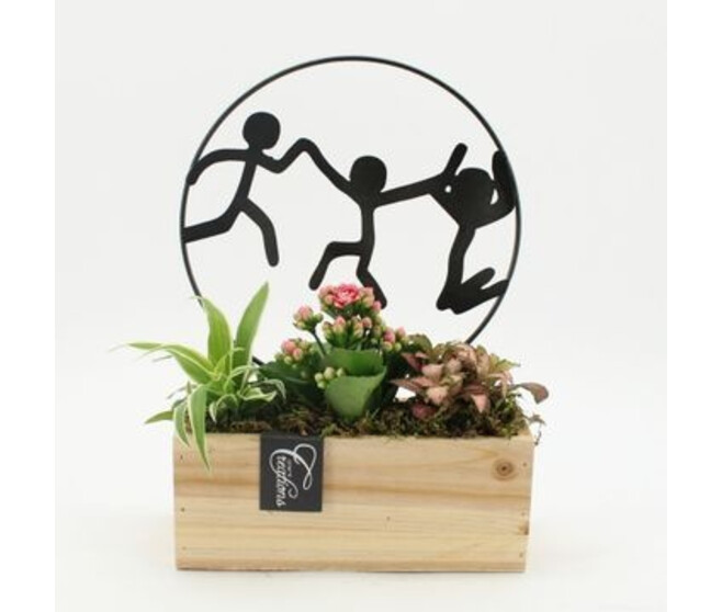 COMPO 3 PLANTES BAC BOIS