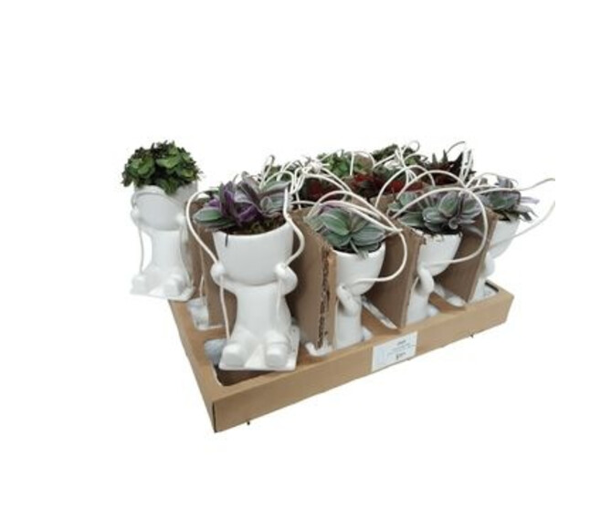 PLANTE VERTE CERAM PERSONNAGE SUSP
