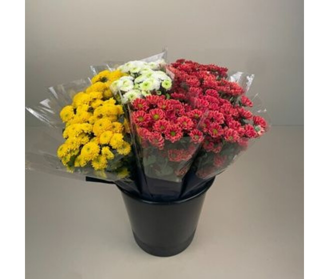 BOUQUET SANTINI 5 TIGES