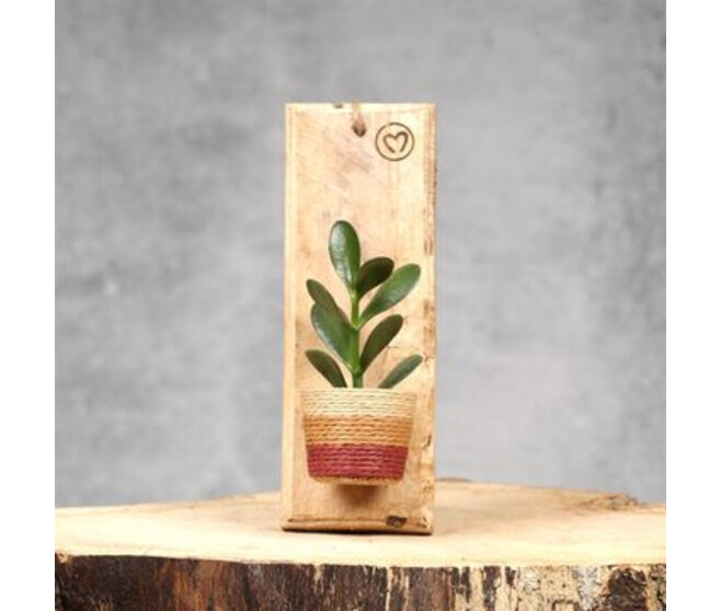 PLANTE VERTE SUPPORT BOIS SUSP