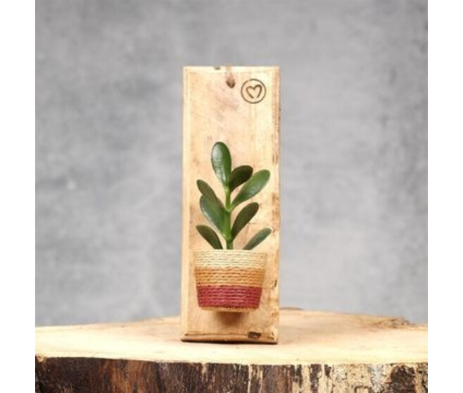 PLANTE VERTE SUPPORT BOIS SUSP