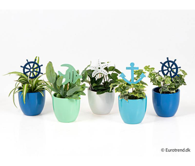 PLANTE VERTE CERAM