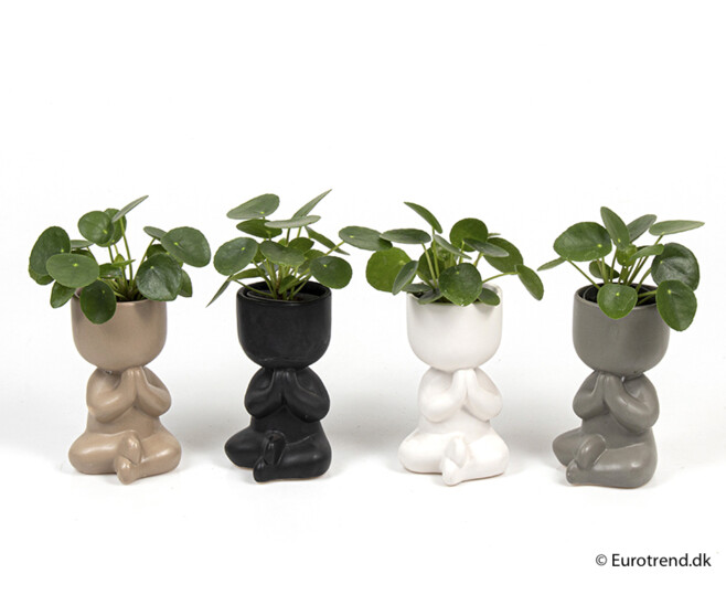 PILEA PEPEROMOIDES CERAM PERSONNAGE