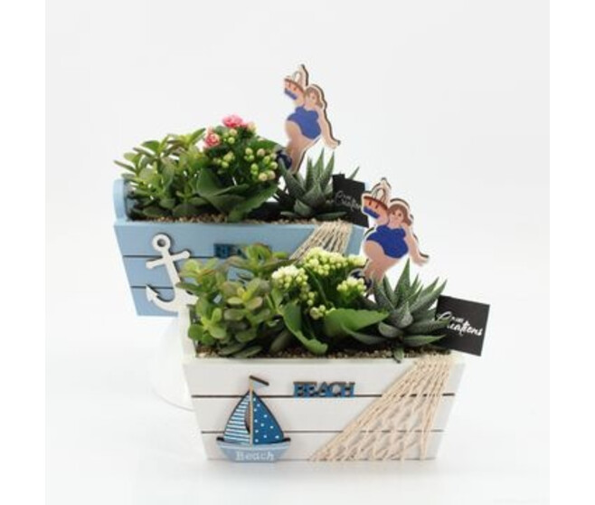 COMPO 3 PLANTES JARD BOIS