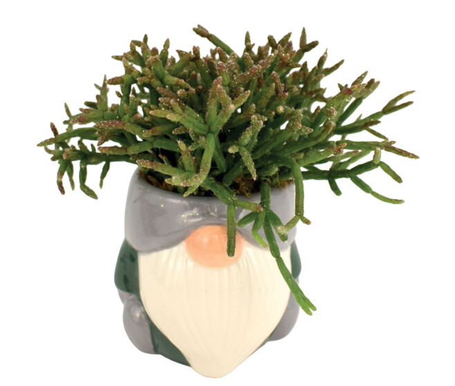 CERAMIQUE PRALINE 20