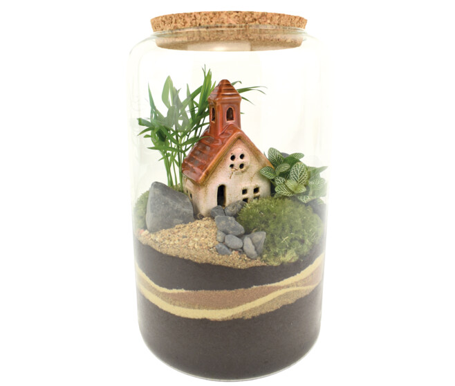 TERRARIUM MARTINE 20