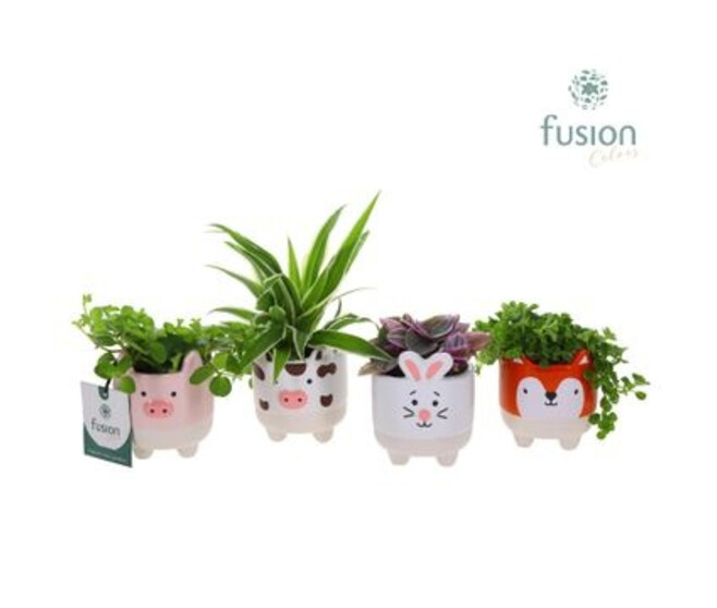 PLANTES VERTES VARIEES CERAM ANIMAUX