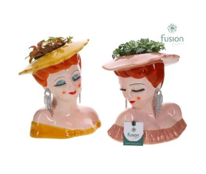 COMPO 1 PLANTE CERAM FEMME