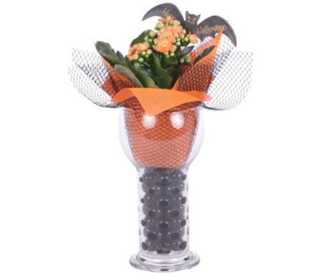 KALANCHOE FL DBLE VERRE DECO HALLOWEEN