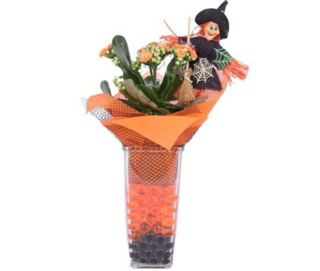 KALANCHOE FL DBLE VERRE DECO HALLOWEEN