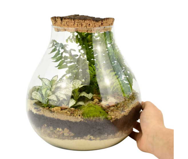 TERRARIUM RUCHE 20