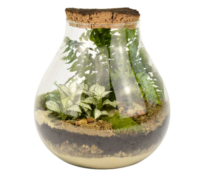 TERRARIUM RUCHE 20