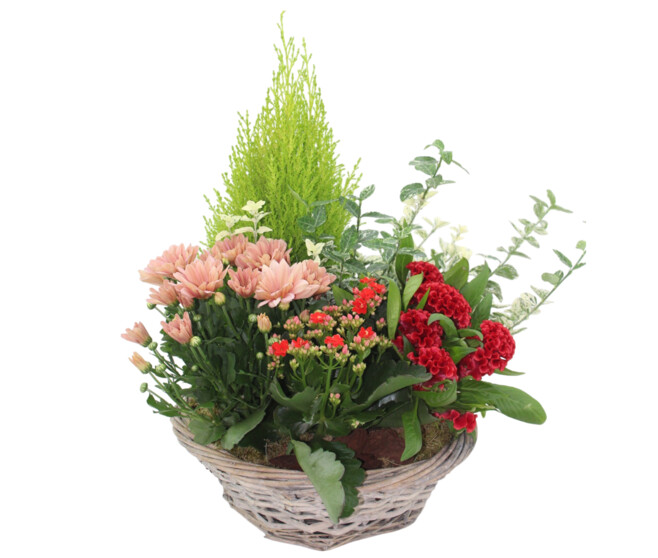 VANNERIE GRAND PANIER