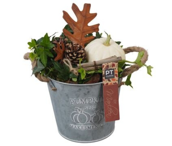 COMPO CUCURBITACEE ZINC AUTOMNE
