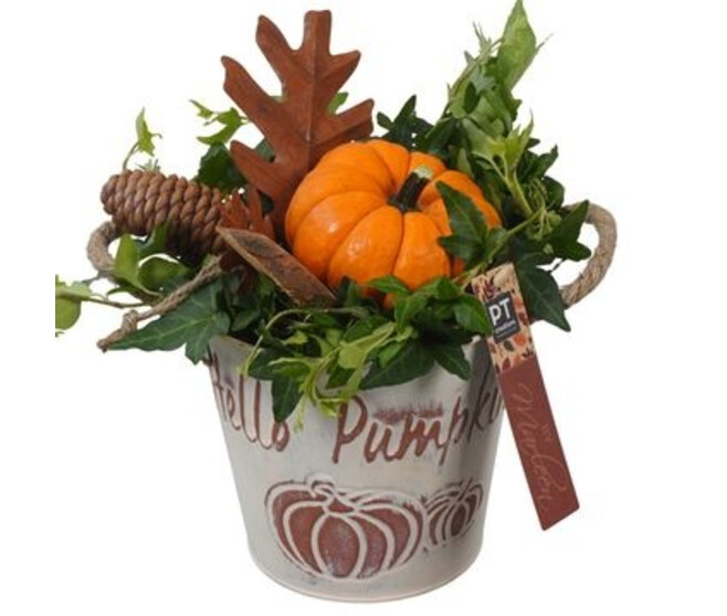 COMPO CUCURBITACEE ZINC AUTOMNE