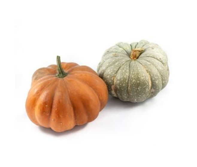 CUCURBITACEE PEPO 3000GR