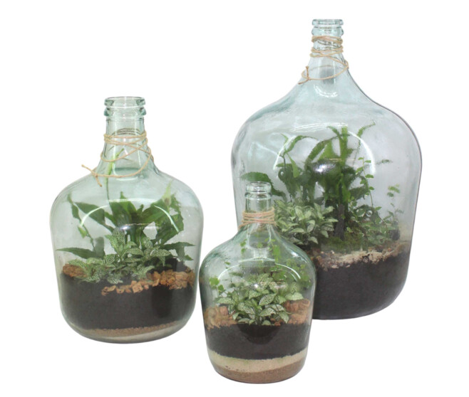 TERRARIUM PETITE DAME JEANNE 20