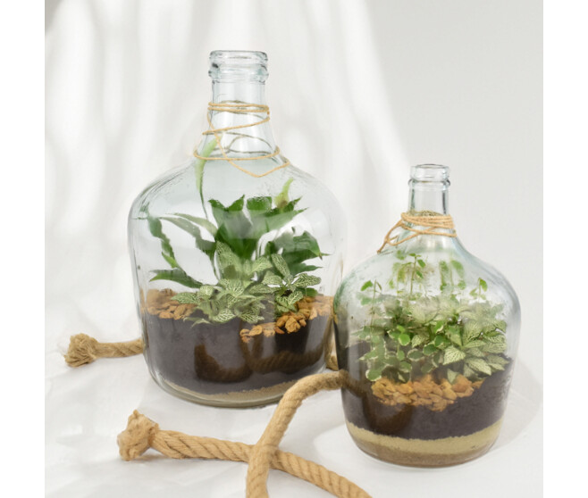 VERRERIE PETITE DAME JEANNE 20