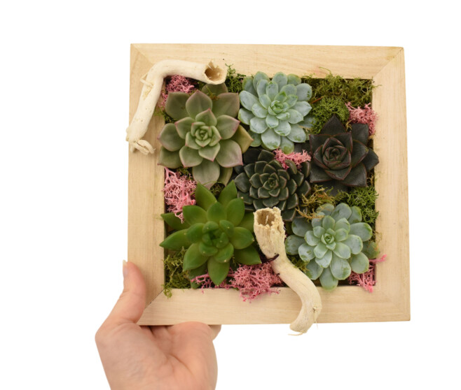 TABLEAU EN BOIS 20