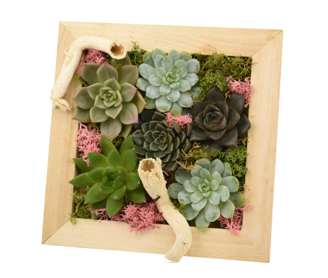 TABLEAU EN BOIS 20