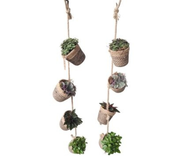 PLANTE VERTE X4 JUTE SUSP