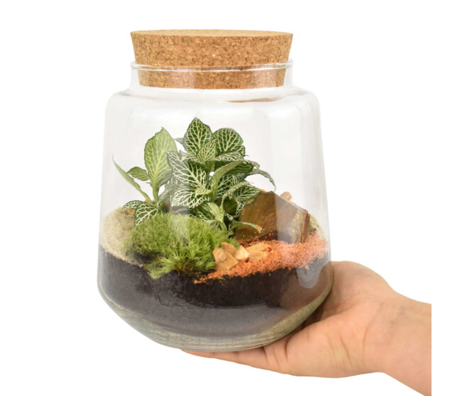 TERRARIUM FELIX 20