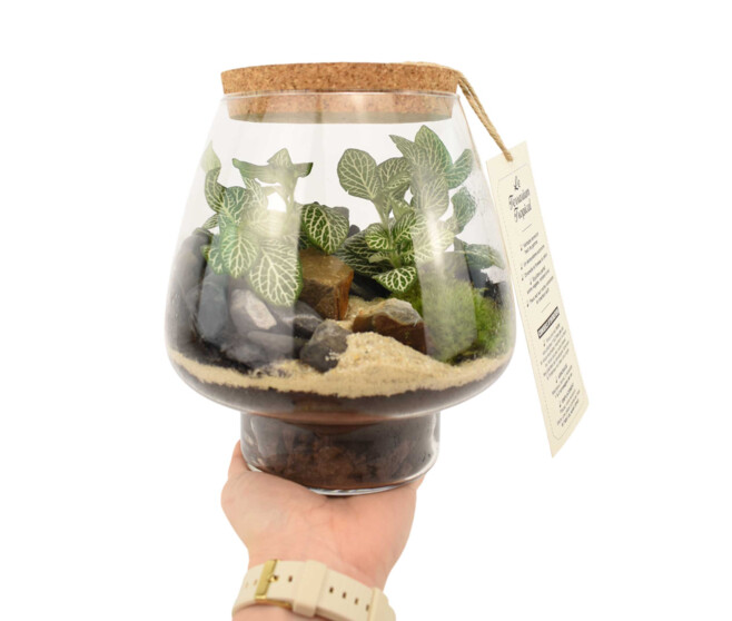 TERRARIUM KEMPII 20