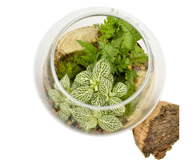 TERRARIUM OPALE 20