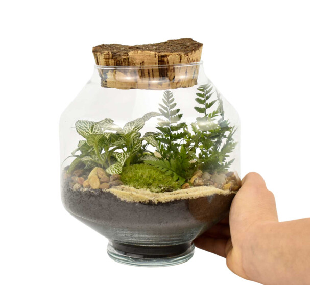 TERRARIUM OPALE 20