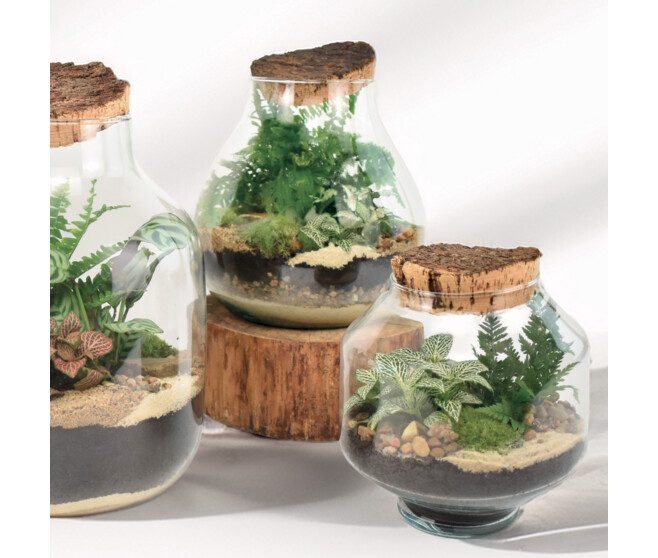 TERRARIUM OPALE 20