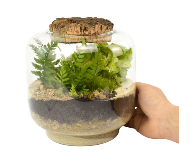 TERRARIUM AGATHE 20
