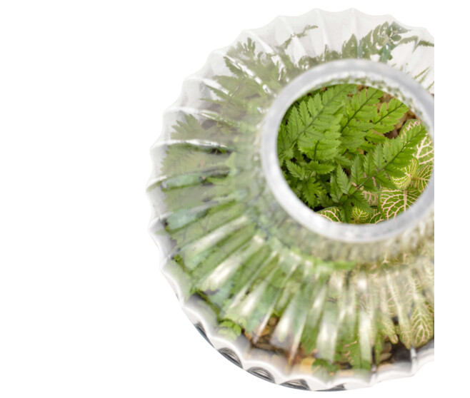 VERRERIE PETITE STRIE 20