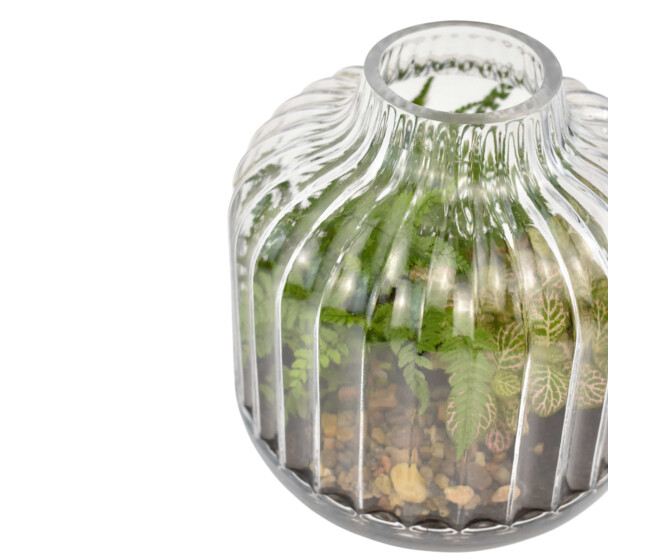 VERRERIE PETITE STRIE 20