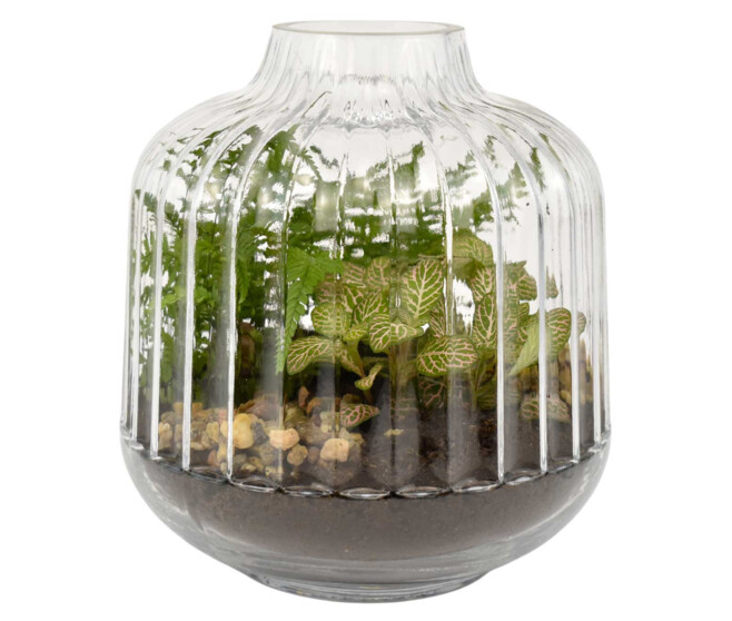 VERRERIE PETITE STRIE 20