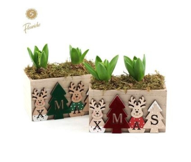 JACINTHE X2 BOIS DECO NOEL