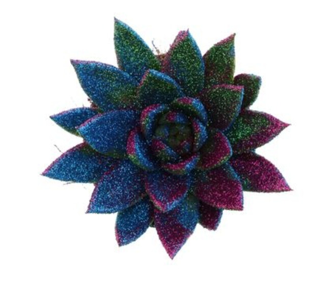 ECHEVERIA MIRANDA PAILLETTE