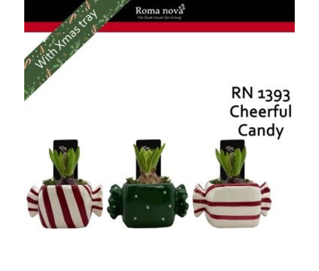 JACINTHE X1 CERAM BONBON