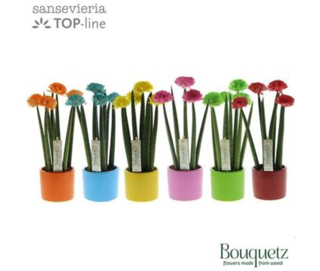SANSEVIERIA DECO FLEUR CERAM