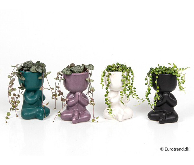 PLANTES VERTES CERAM