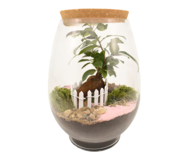 TERRARIUM MARCELLA 20