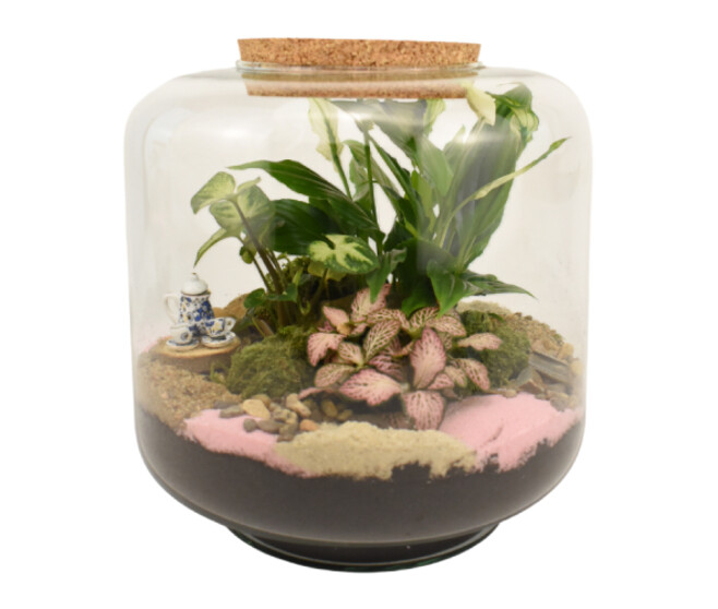 TERRARIUM LOUNA 20
