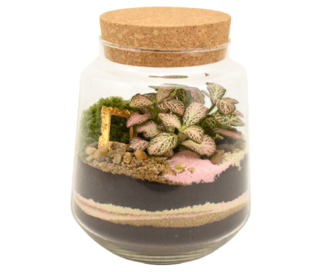 TERRARIUM FELICIA 20