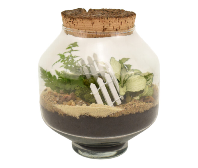 TERRARIUM OPALINE 20